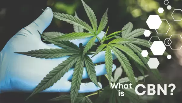 【日本初】CBNグミが発売開始！ピュアなCBNを味わえるのはCBD専門店Naturecan（ネイチャーカン）だけ◎