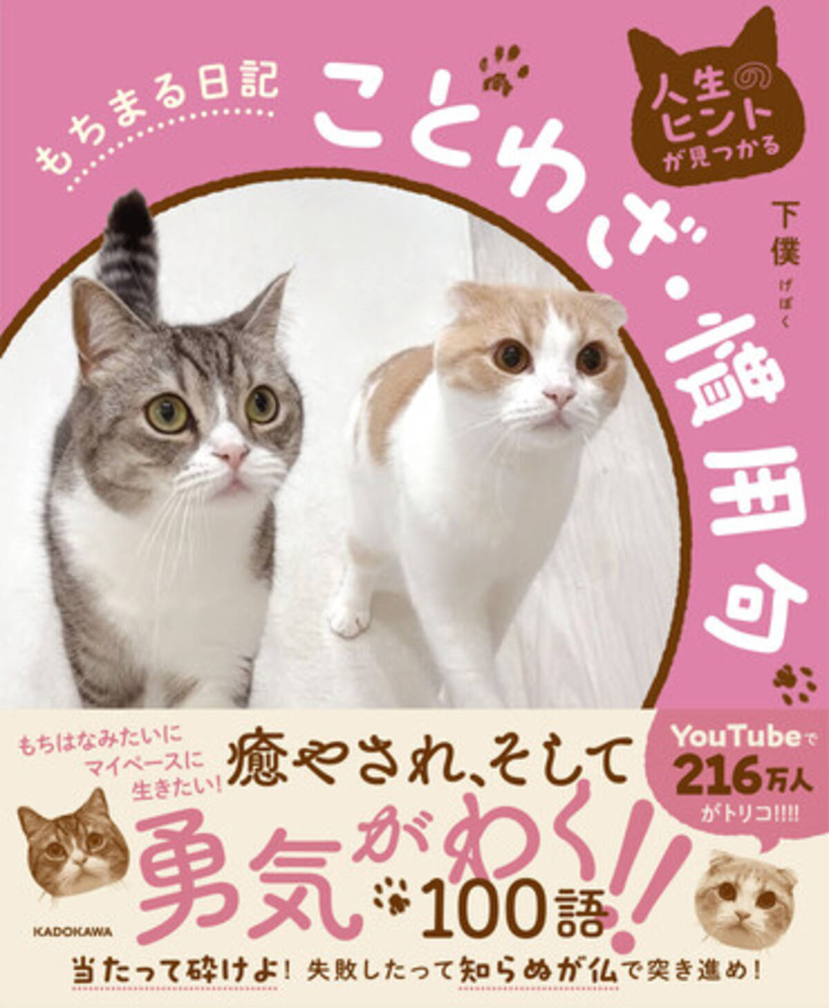 追加画像 ねこのきもち2冊 しろい 可愛い 猫 ネコ ニャンコ cat