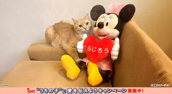 アンケートへのご回答だけ！ディズニーデザインのグッズが抽選で当たる感謝のキャンペーン第三弾