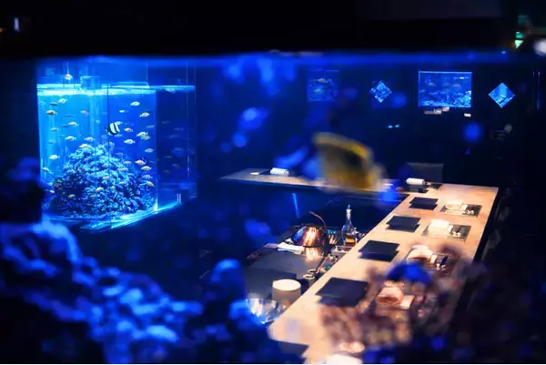 「【新しい美食空間】鮨×天麩羅×ステーキ×アクアリウム。ミシュランシェフ監修の美食空間が銀座に誕生」の画像