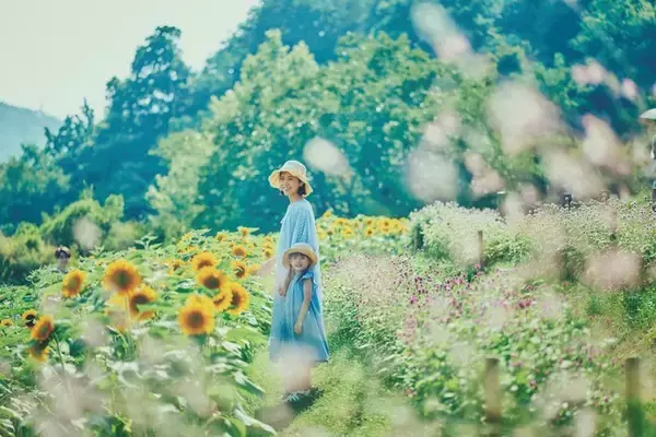 夏の神戸布引ハーブ園は最高に楽しい！「きっと忘れない夏GARDEN FEST 2026-Summer-」を開催。昼から遊べる「涼しい」「楽しい」企画と夏色の「サマーガーデン」がいっぱい。夜は夜景も！