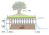 「沖縄の祈りの場、拝所（ウガンジュ）の下に道を通す - 令和4年度小禄道路ボックスカルバート工事」の画像13
