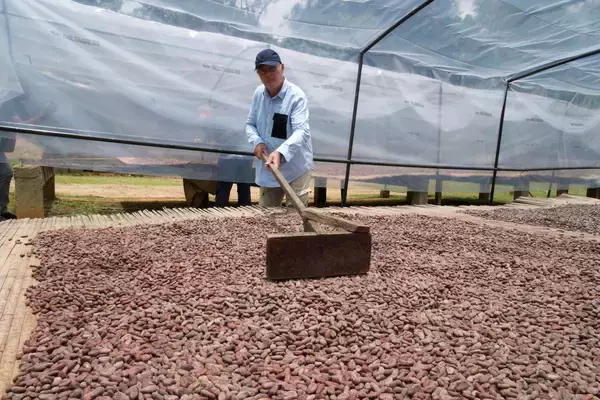 「パリのショコラティエ【ジャン＝ポール・エヴァン】持続可能なショコラの未来のために社会参画を誓う ――新プロジェクト「エヴァン エヌコロサン」始動」の画像