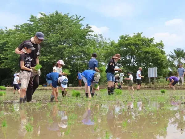 埼玉産直協議会総会を開催　農業体験など活動〔埼玉〕