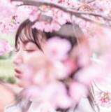 「【若手Webクリエイター向け】本来の「UX」を正しく知ろう！11/10（木）無料セミナー「20代から考えるUX時代のキャリアのつくりかた」」の画像1