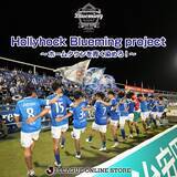 「クラウドファンディング「Hollyhock Blueming project～ホームタウンを青く染めろ！～」」の画像1