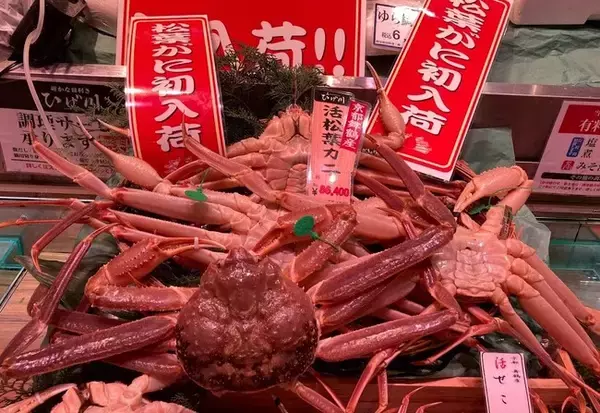 【阪神梅田本店】11月6日（日）「松葉ガニ」漁解禁！京都・舞鶴から直送で阪神デパ地下に到着！