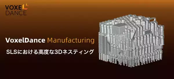 3Dネスティングによる SLS 3Dプリントの効率化と品質向上 VoxelDance