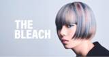 「ブリーチを極めるヘアカラリストの為の”THE BLEACH”誕生。」の画像1