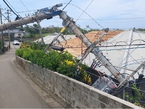 【鹿児島県徳之島】台風18号で被災した伊仙町は、災害支援型ふるさと納税による寄附を受付中です。