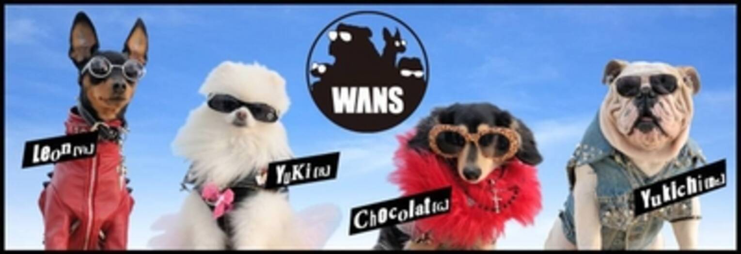500頭以上の ロック な犬が大集合 雑誌 いぬのきもち のcmで話題の 犬のロックバンド Wans 大人気アイドル犬 俊介くんも共演する Cm曲のプロモーションビデオ 完成 13年4月25日 エキサイトニュース