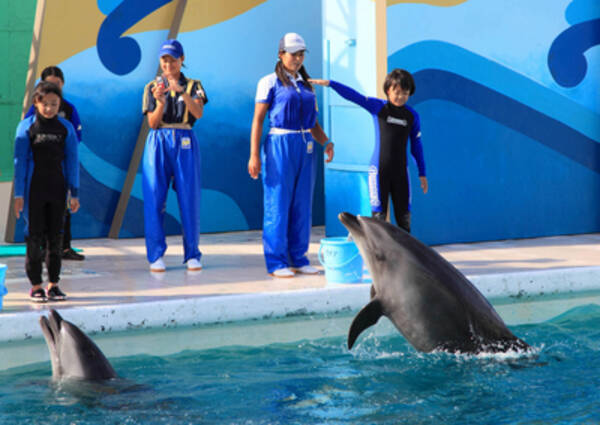 鴨川シーワールド 水族館で飼育係の職業体験にチャレンジ ジュニアトレーナー 参加者募集 13年6月日 エキサイトニュース