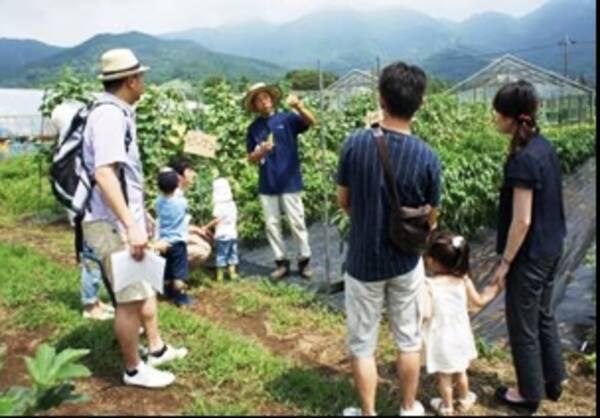 5月10日 土 Ycvグリーンファーム が横浜市旭区に開園 栽培収穫体験イベントを開催 14年4月21日 エキサイトニュース