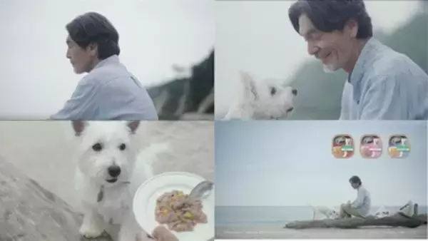 愛犬と男性の「絆」を感じる感動CM、シーザー(R)新TV CM「海でふたり」篇