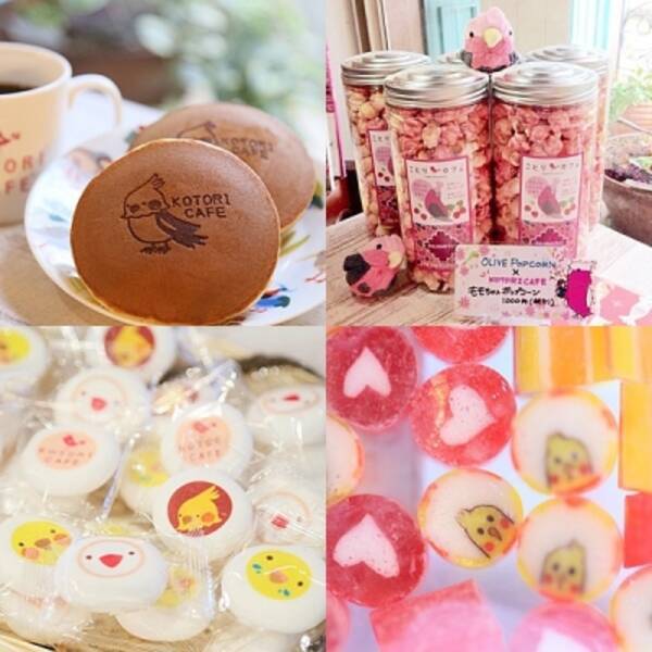 話題のインコ臭スイーツも 東急ハンズ開催ホワイトデーに ことりカフェ 登場 15年3月3日 エキサイトニュース 話題のインコ臭スイーツも 東急ハンズ開催ホワイトデーに ことりカフェ 登場 15年3月3日 エキサイトニュース