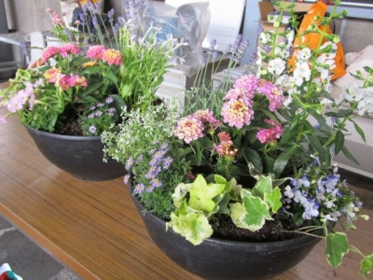 Jaf佐賀 ５月のjafデーは季節の花を植えて楽しむ 寄せ植え教室 を開催 15年5月22日 エキサイトニュース