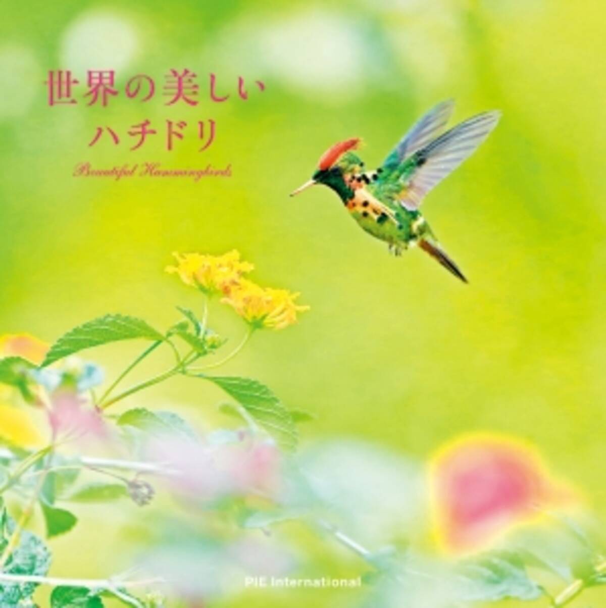 まるで花のような愛らしさ きらめくハチドリ104種 世界の美しいハチドリ 刊行のお知らせ 15年10月1日 エキサイトニュース