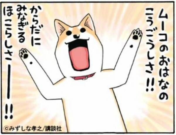 Ebookjapanが犬の日 11月1日 にちなんで わんわんわん特集15 を公開今年も親善大使をつとめるムーコにあやかり おはなつやつやコンテスト を開催 15年10月31日 エキサイトニュース