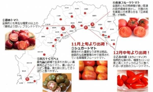 高知が発祥の地 冬が旬の フルーツトマト ユニークな冬春トマトが11月より順次出荷開始 生産量日本一 肉厚幅広 香りが強い 高知の にら 特許取得 パーシャルシール包装 で鮮度抜群 15年11月4日 エキサイトニュース 高知が発祥の地 冬が旬の フルーツトマト ユニークな冬春トマトが11月より順次出荷開始 生産量日本一 肉厚幅広 香りが強い 高知の にら 特許取得 パーシャルシール包装 で鮮度抜群 15年11月4日 エキサイトニュース