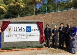 「近畿大学 マレーシア・サバ大学養殖開発センター」設立