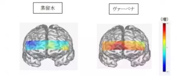 恋の季節に朗報！香りで異性を惚れさせる！？恋を引き寄せるハーブ「ロクシタン ヴァーベナ」は、異性の右脳を活性化させると科学的に実証