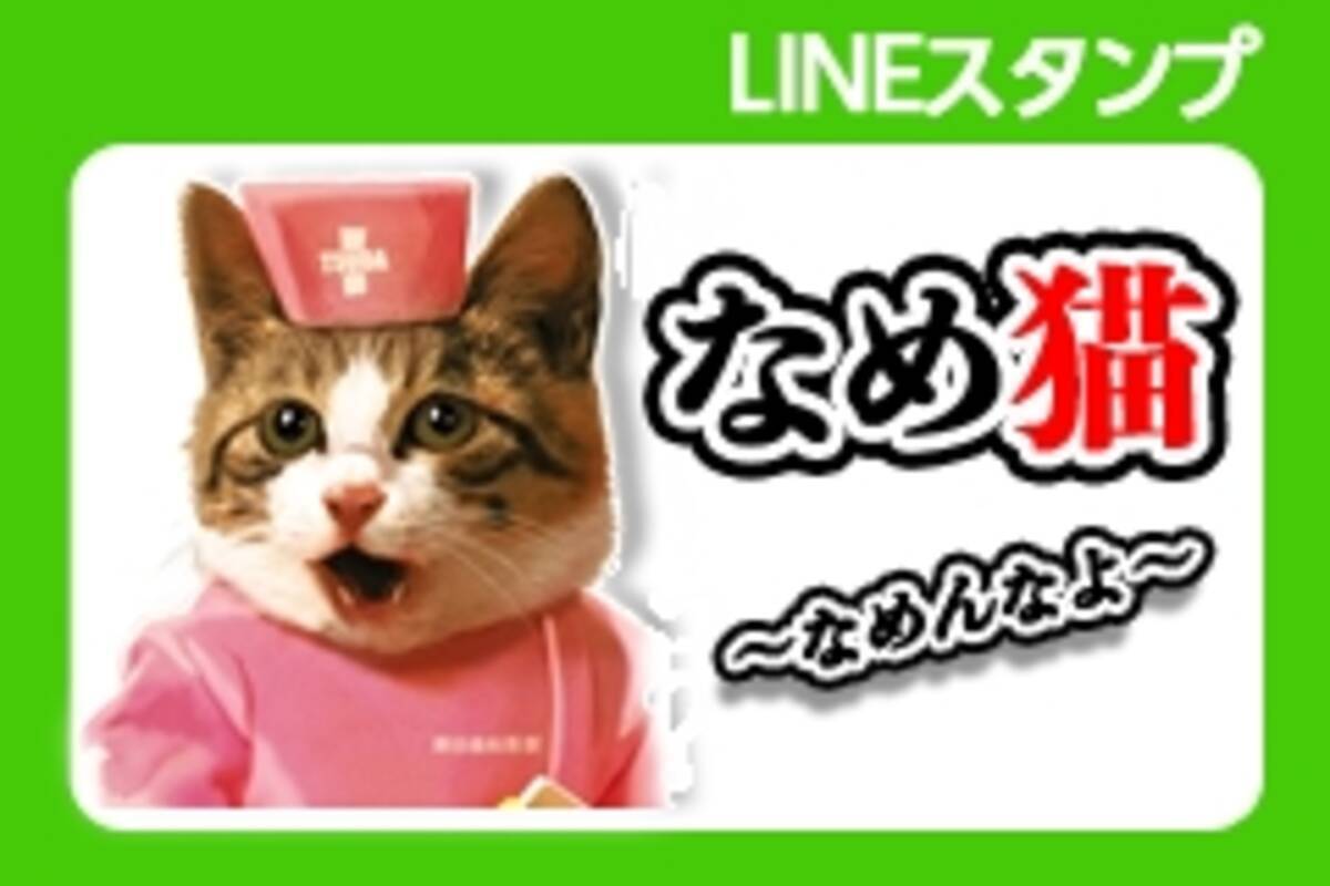 一大ブームを起こした伝説の猫キャラがスタンプに登場 Lineスタンプ なめ猫 なめんなよ 配信開始 16年4月15日 エキサイトニュース