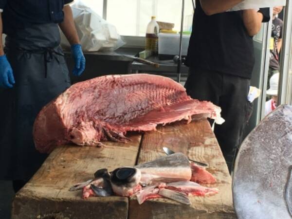 本まぐろ解体ショー開催 日本最大級のフードフェス まんパク16 開幕三日目 初の土曜は晴天 満腹日和 16年5月14日 エキサイトニュース