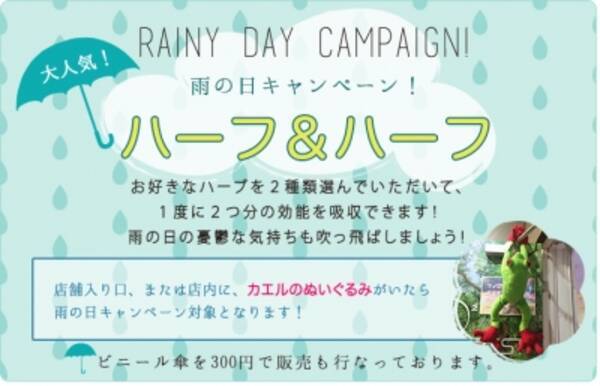 梅雨の季節でも よもぎ蒸しのハーブで気分爽快 16年6月6日 エキサイトニュース