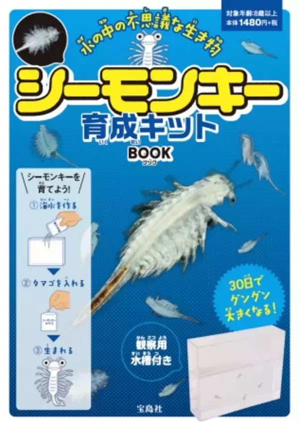 「夏休みの自由研究にも！昭和時代に大流行した「シーモンキー」の育成キット 7/15発売」の画像