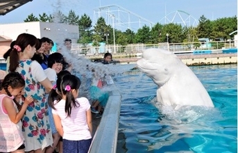 横浜・八景島シーパラダイス　水族館ならではのずぶ濡れイベント！「スプラッシュタイム」