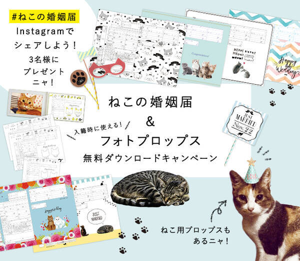 ねこの婚姻届が登場ニャ ねこの婚姻届 入籍の記念撮影に使えるフォトプロップス無料ダウンロードキャンペーンがスタート 16年10月7日 エキサイトニュース