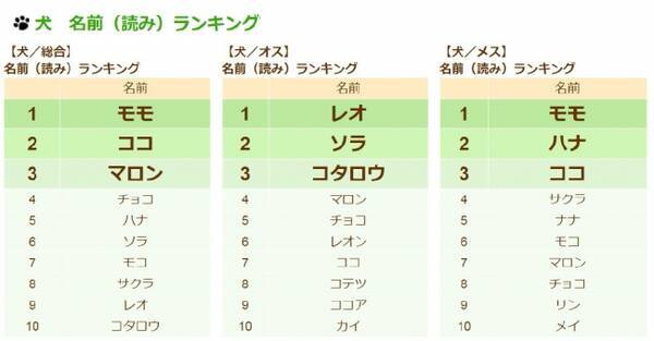 65 535頭を調査 16年愛犬 愛猫名前ランキング 16年10月24日 エキサイトニュース