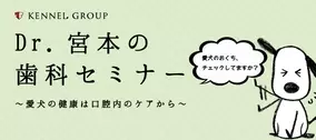 星くずドロップ の小嶋ララ子が描くのは抱腹絶倒ラブコメ 新連載 犬鷲百桃 いぬわしもも はゆるがない 小嶋ララ子 16年10月28日 エキサイトニュース