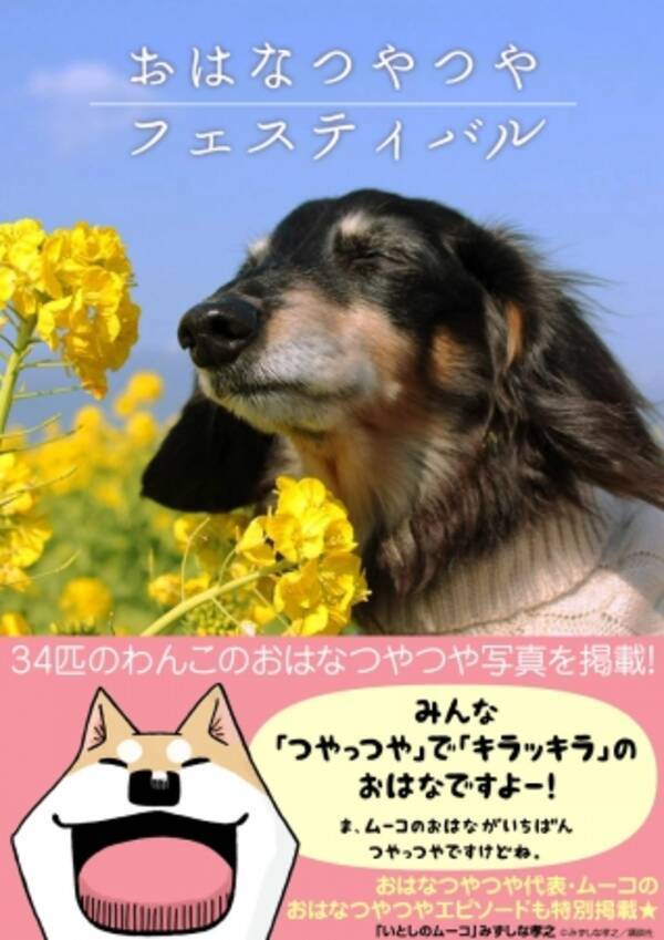 わんこがブルブルした姿が ドリル に見える写真を大募集 Ebookjapanが犬の日 11月1日 にちなみ わんわんわん特集 を公開 親善大使に 織田シナモン信長 より織田信長の転生犬シナモンを任命 16年11月1日 エキサイトニュース