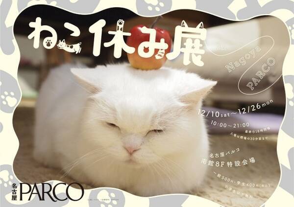 来場者10万人超 スター猫の秋冬新作コレクション ねこ休み展 In Parco 名古屋パルコ限定グッズの販売も 16年11月30日 エキサイトニュース