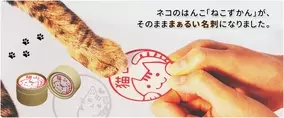 好評なめ猫スタンプ第三弾は あふれる思いと感情 Lineスタンプ なめ猫3 マジでなめんなよ 配信開始 17年1月12日 エキサイトニュース