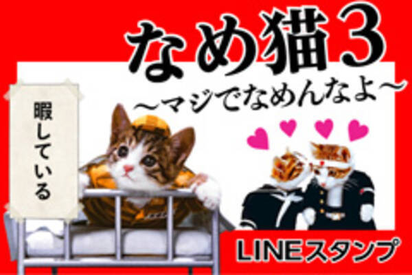 好評なめ猫スタンプ第三弾は あふれる思いと感情 Lineスタンプ なめ猫3 マジでなめんなよ 配信開始 17年1月12日 エキサイトニュース