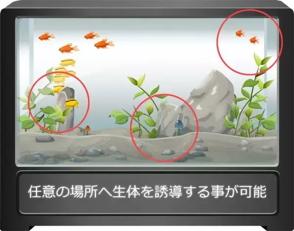 世界初、魚の群れを誘導できる生体群制御付き水槽「アクトリウム」販売開始