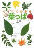 「よく似た葉っぱがひと目で見分けられる！初心者向け樹木図鑑の決定版『くらべてわかる木の葉っぱ』刊行」の画像1