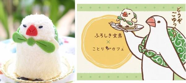 話題の鳥キャラ ふろしき文鳥 ケーキ ことりカフェ心斎橋 に登場 17年3月10日 エキサイトニュース