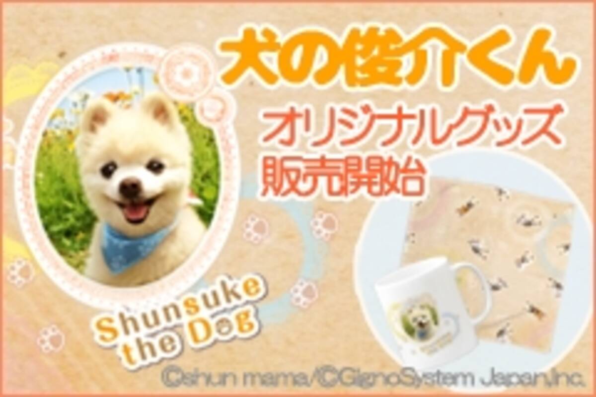 Twitterやtvで大人気 表情豊かなポメラニアン 犬の俊介くん Suzuriにてオリジナルグッズ販売開始 17年3月10日 エキサイトニュース