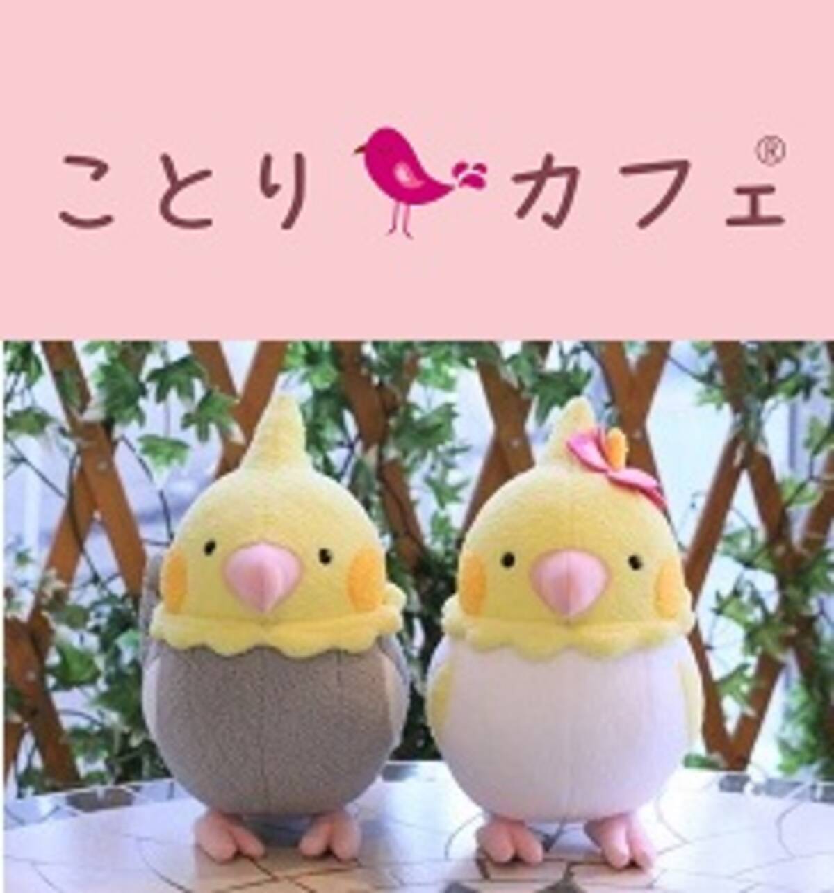 ことりカフェ プレミィ コロミィ コラボshopオープン 東京ソラマチで ことりパーティー 開催 17年3月17日 エキサイトニュース