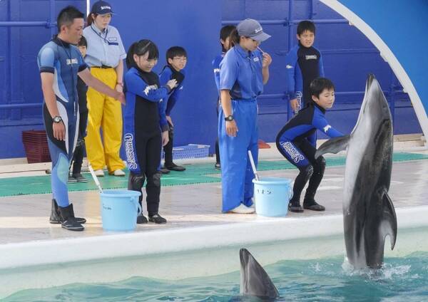 鴨川シーワールド 小学校5 6年生対象 水族館で高度なトレーナーの職業体験 ジュニアトレーナー 参加者募集 実施期間 2017年6月10日 土 7月9日 日 の土 日10日間 各日6名限定 2017年4月25日 エキサイトニュース