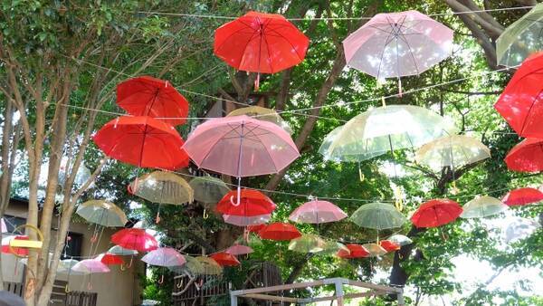 千葉市初 ツリーハウスの森カフェ 椿森コムナ が梅雨でもワクワク 0本の傘で彩る傘の森に 17年6月8日 エキサイトニュース 千葉市初 ツリーハウスの森カフェ 椿森コムナ が梅雨でもワクワク 0本の傘で彩る傘の森に 17年6月8日 エキサイトニュース