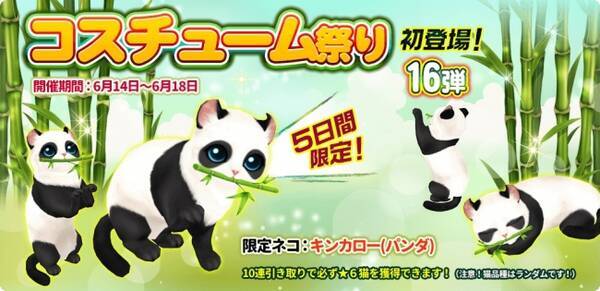 マイにゃんカフェ 人気ガチャイベント コスチューム祭り を開催 17年6月14日 エキサイトニュース