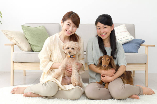 日本初 シェアハウスのプレシェア 犬との共生に特化したシェアハウスの提供開始 17年6月21日 エキサイトニュース