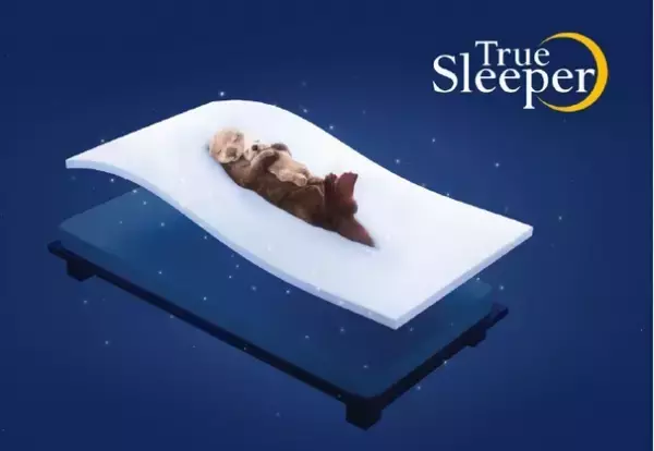 「発売15周年を節目に、低反発マットレス「トゥルースリーパー」がリニューアル！「トゥルースリーパー プレミアケア」発売」の画像
