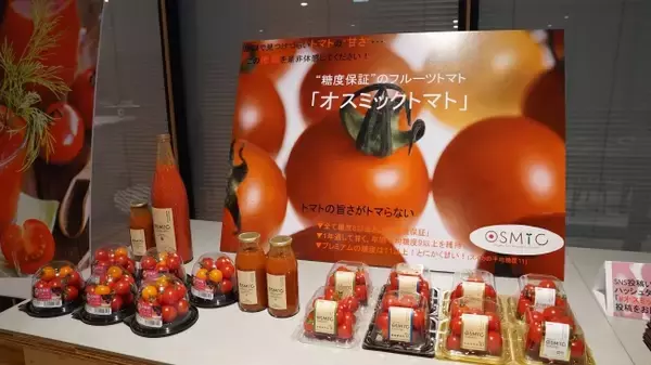 食べたら分かる…！あまーいフルーツトマトを実食　高糖度フルーツトマト『オスミックトマト』の食べ比べ試食会開催