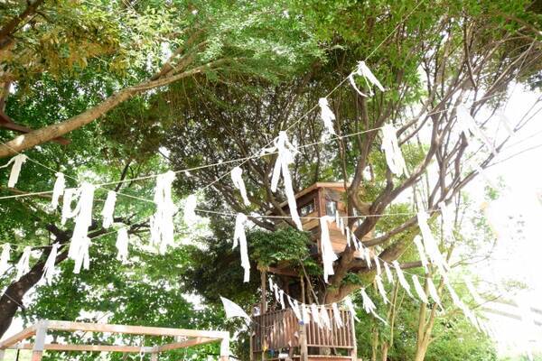 千葉市初 ツリーハウスの森カフェ 椿森コムナ テーマは 風 秋の訪れを演出する 秋風コムナ に 17年8月25日 エキサイトニュース