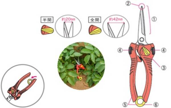 使うほどにその差がわかる 新提案の収穫ハサミ 収穫ハサミ 野菜用 17年9月22日販売開始 17年9月15日 エキサイトニュース